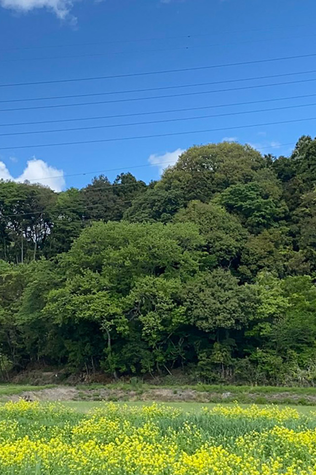 メインビジュアル